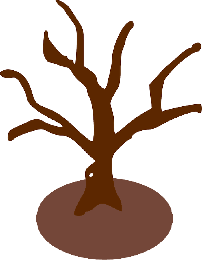 A Brown Tree With No Leaves