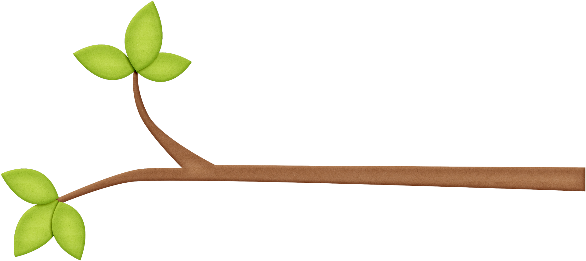 A Tree Branch With A Green Leaf