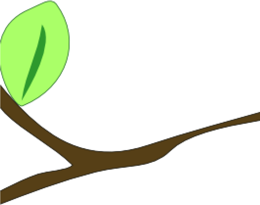 A Green Leaf On A Branch