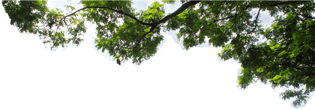 A Silhouette Of A House And A Tree