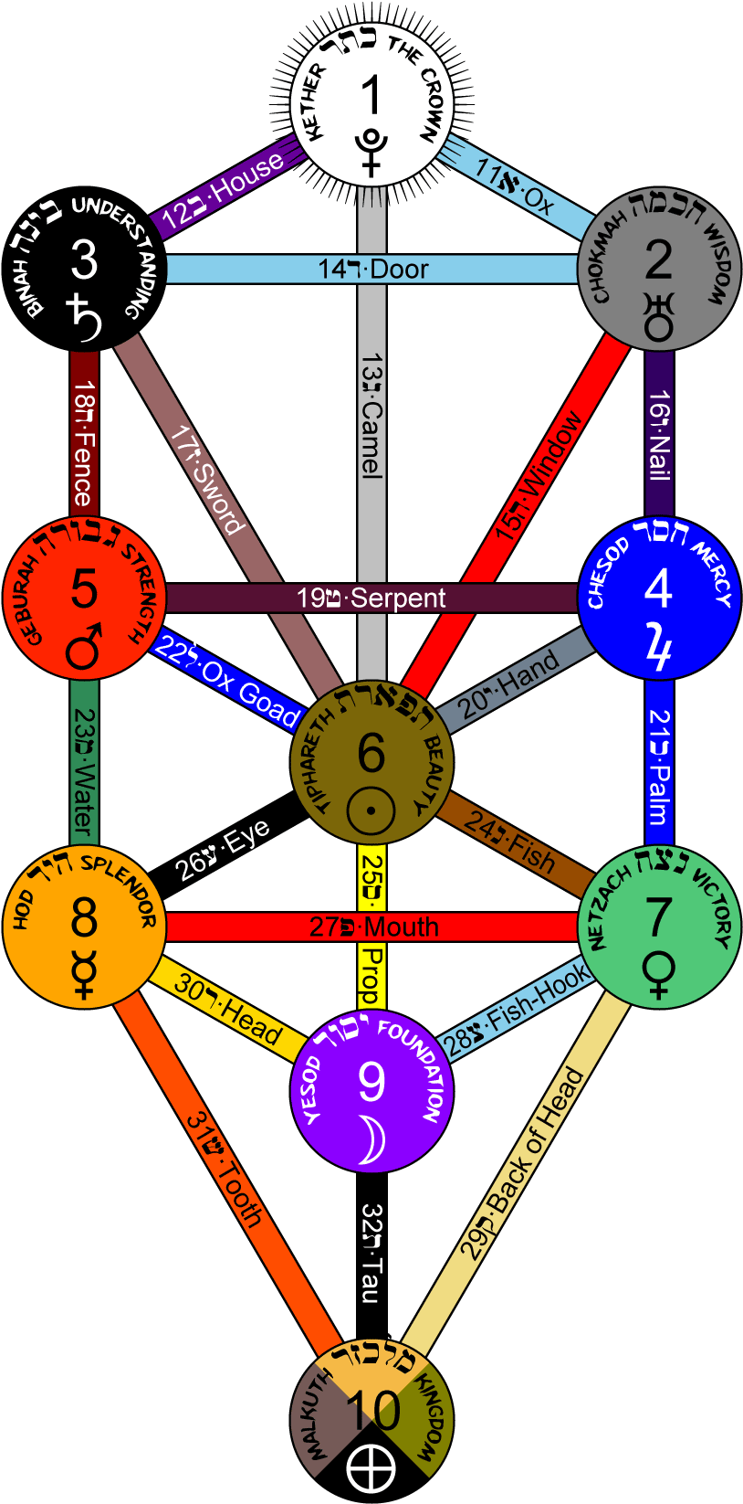 A Diagram Of The Seven