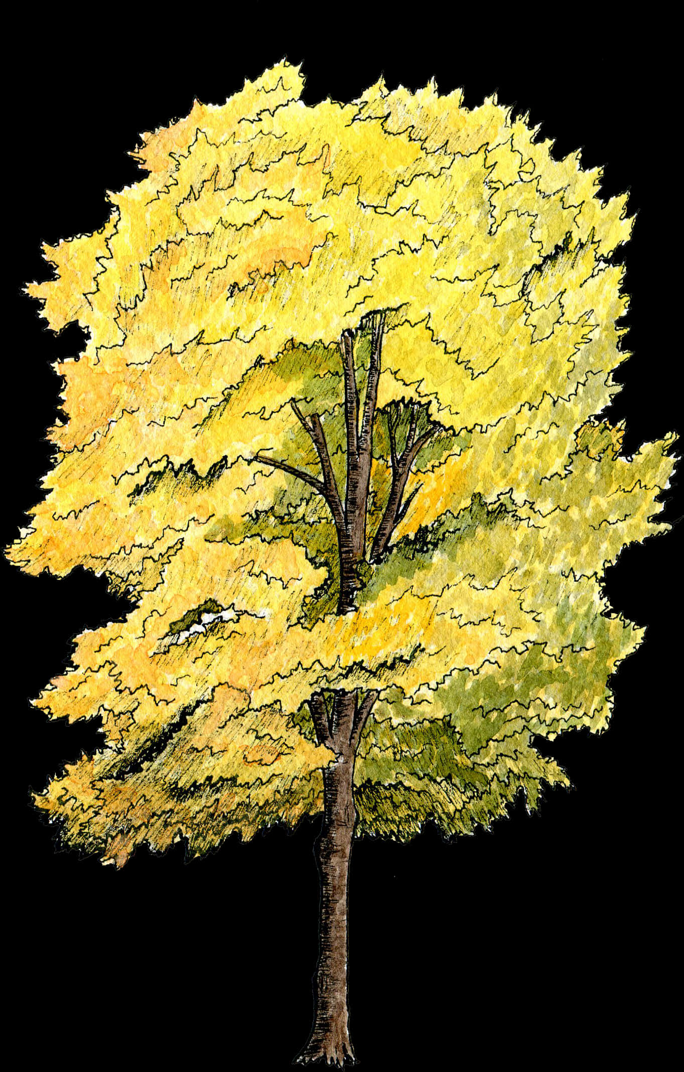 A Tree With Yellow Leaves