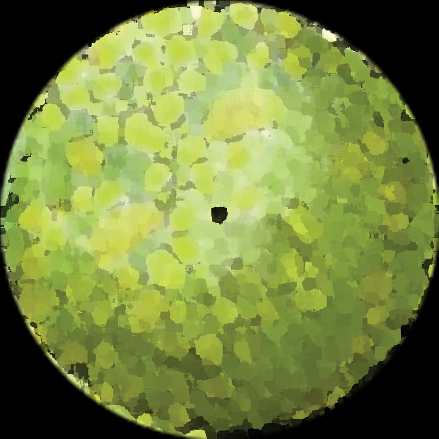 A Green Circle With A Black Background