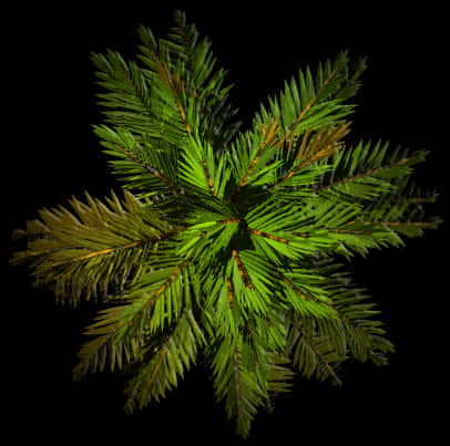 A Green Plant With A Black Background