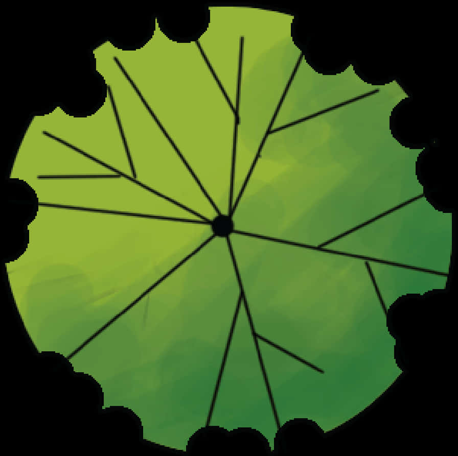 A Green Circular Object With Black Lines