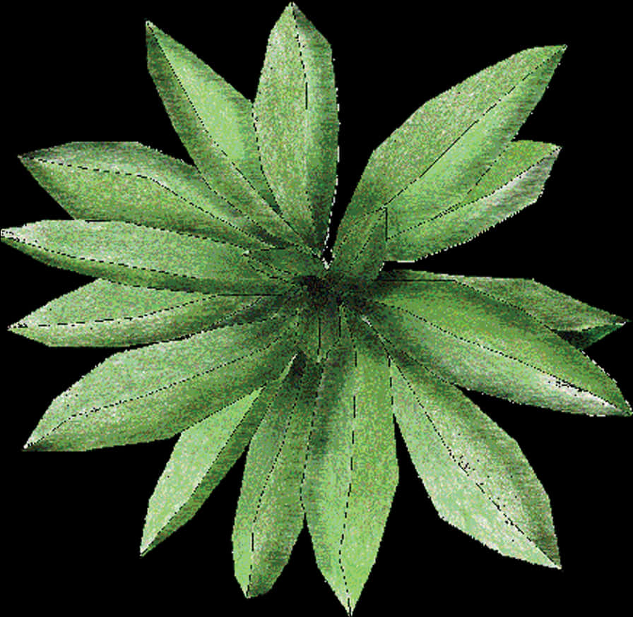 A Green Leafy Plant With Black Background