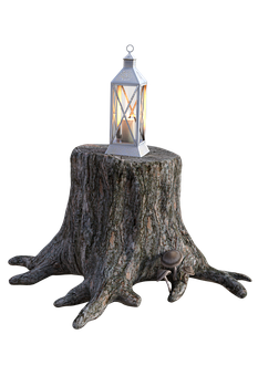 A White Lantern On A Tree Stump