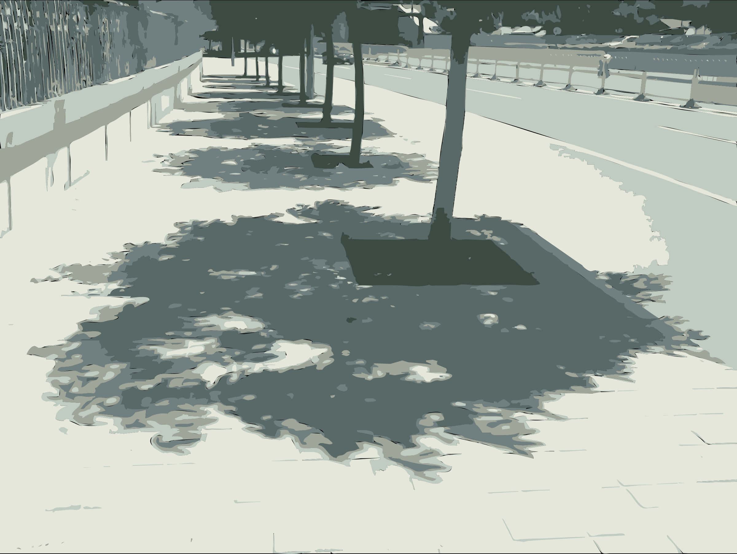A Row Of Trees On A Sidewalk