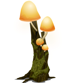 A Group Of Mushrooms On A Tree