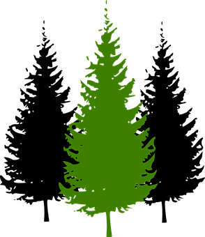A Green Tree Silhouette On A Black Background