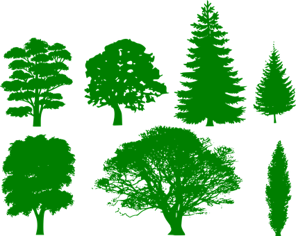 A Group Of Trees On A Black Background