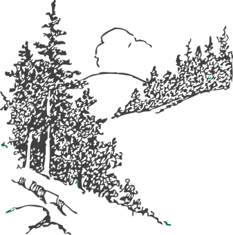 A Drawing Of Trees On A Black Background