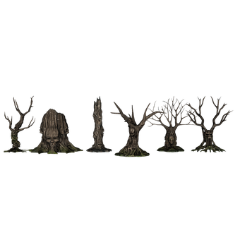 A Group Of Trees With No Leaves