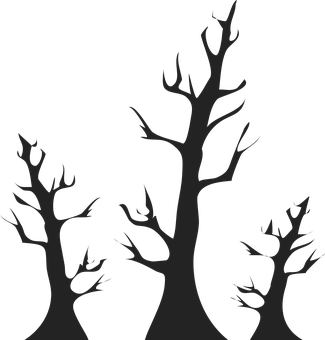 A Group Of Trees In The Dark