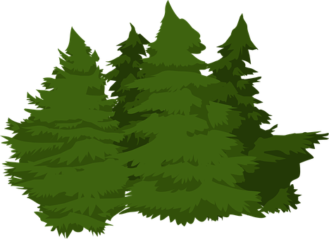 A Group Of Trees With Black Background