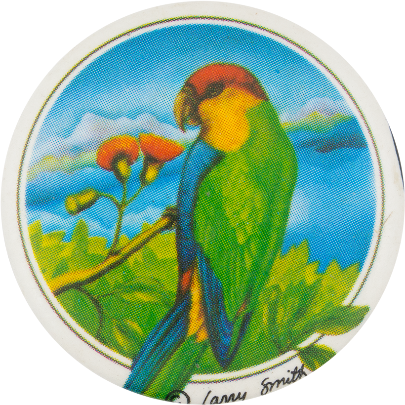 A Round White Coaster With A Colorful Bird On It