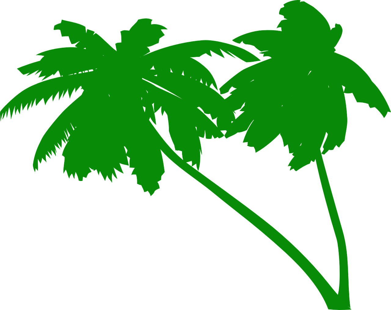A Green Palm Trees On A Black Background