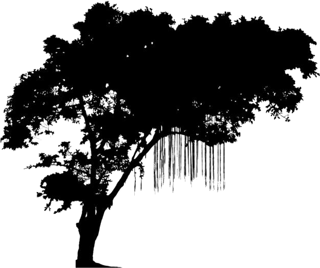 A Silhouette Of A Tree With A Black Background