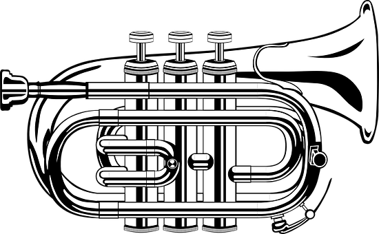 Trumpet Png 550 X 340