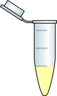 A Close-up Of A Test Tube