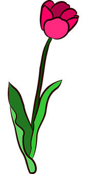 A Green Plant With Long Leaves