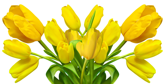 A Group Of Yellow Tulips