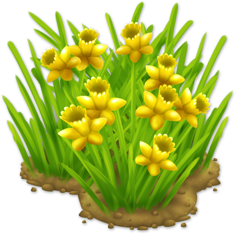 A Yellow Flowers On A Green Plant