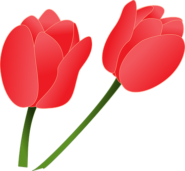 Tulips Png 367 X 340