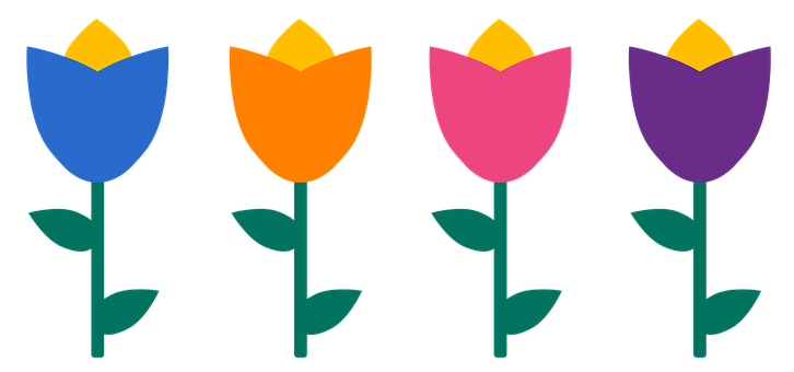 Tulips Png 726 X 340