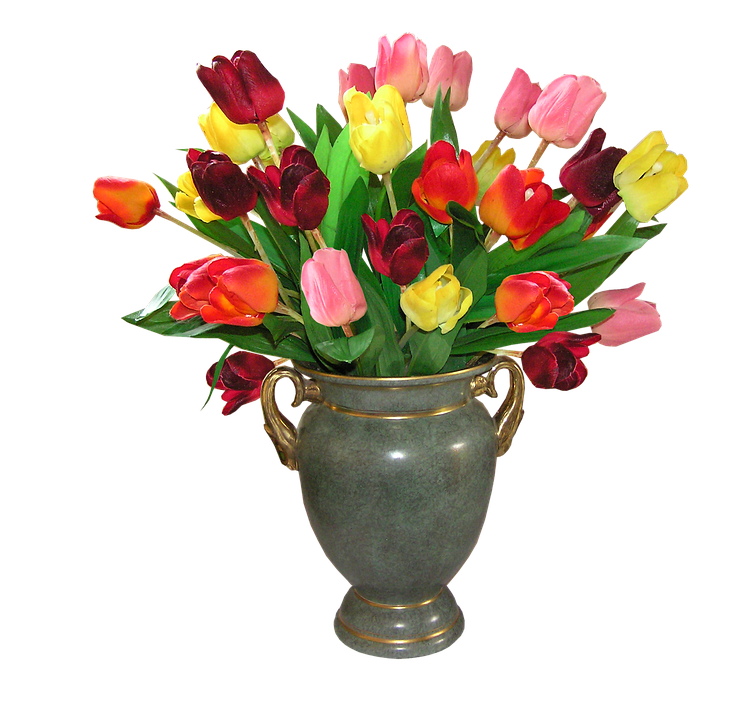 Tulips Png 744 X 720