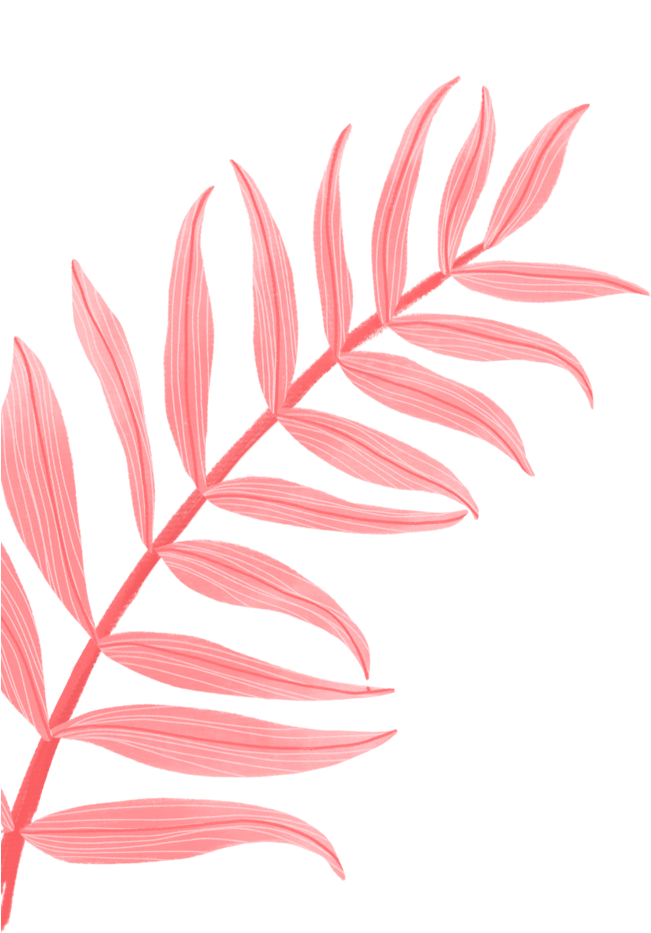 A Pink Leaf With White Stripes