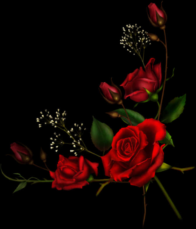 A Red Roses On A Black Background