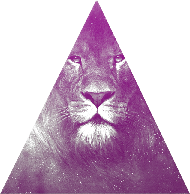 A Lion In A Triangle