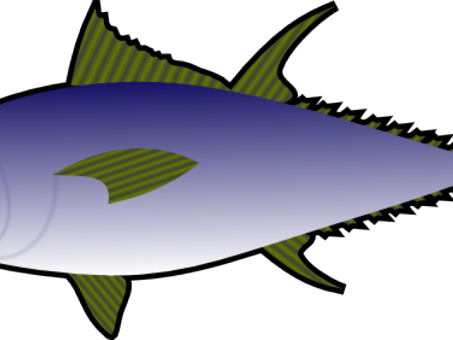 A Blue And White Fish With Green Fins