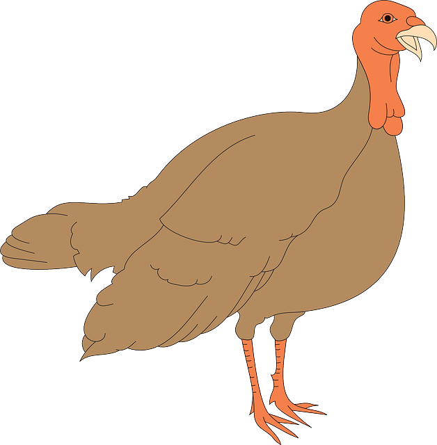A Cartoon Of A Turkey