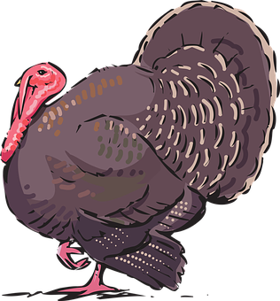 A Turkey With A Red Beak