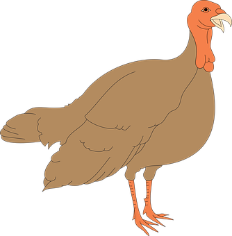 A Turkey With A Beak Open