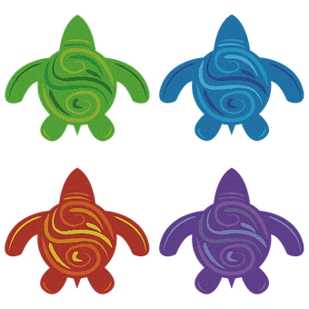 A Group Of Colorful Turtles