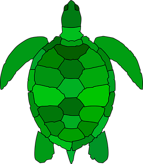 A Green Turtle With Black Background