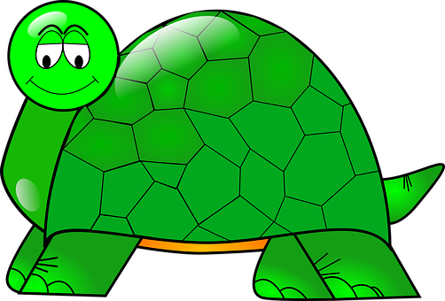 A Cartoon Turtle With A Face