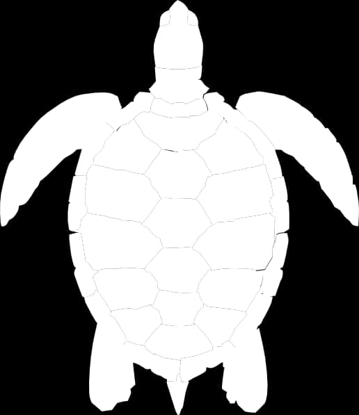 A White Turtle With Hexagons On It