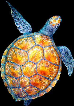 A Colorful Turtle With Blue And Yellow Shell