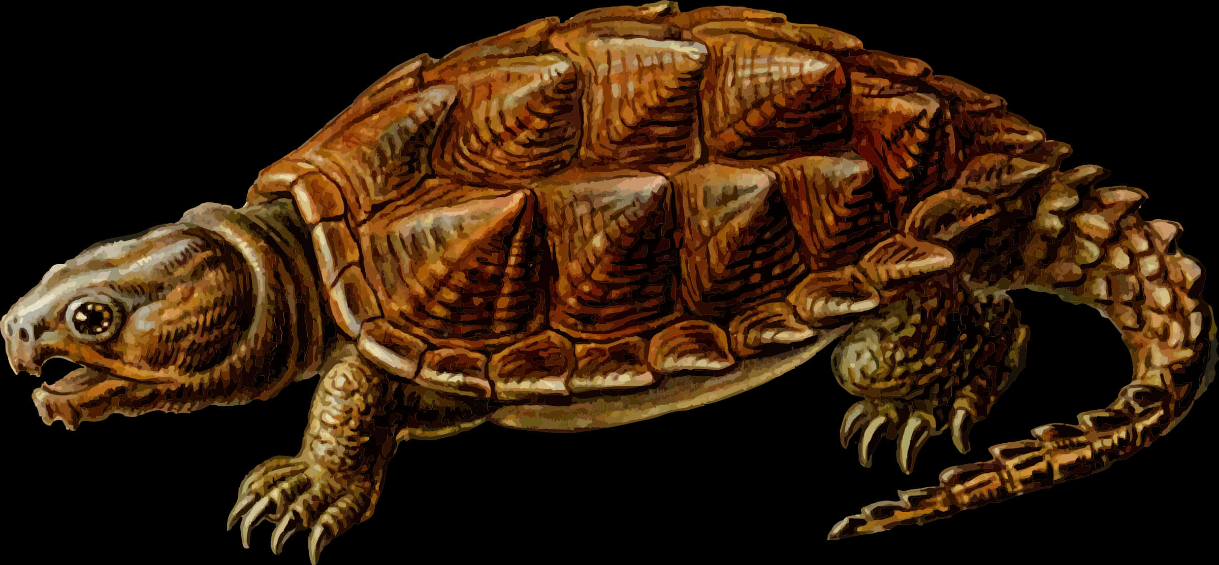 A Close-up Of A Turtle