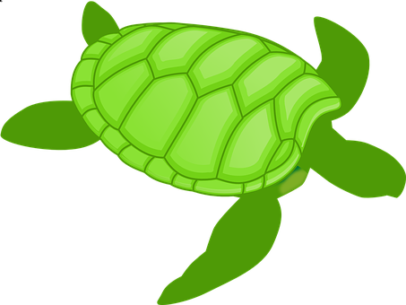 A Green Turtle With Black Background