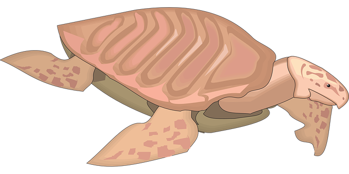 A Pink Sea Turtle With A Black Background