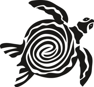 A Black Turtle With A Spiral Pattern