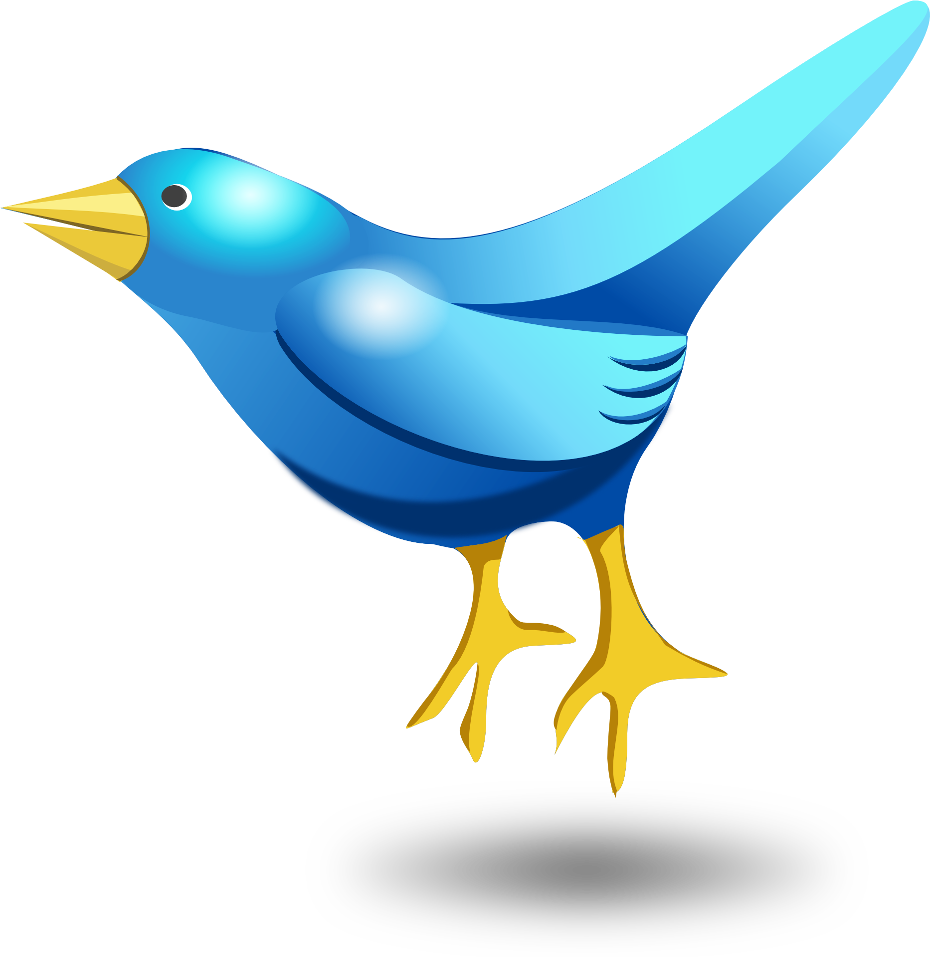 A Blue Bird With Yellow Beak