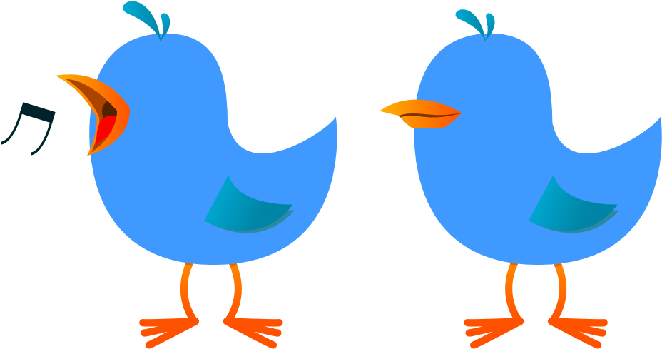 A Blue Bird With Orange Beak