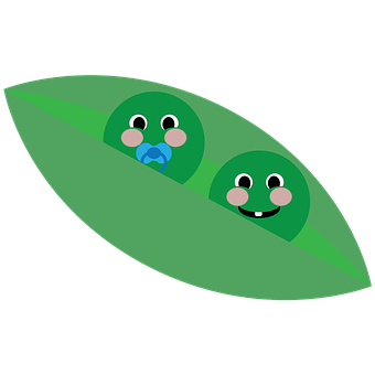A Green Pea Pod With Two Babies In It