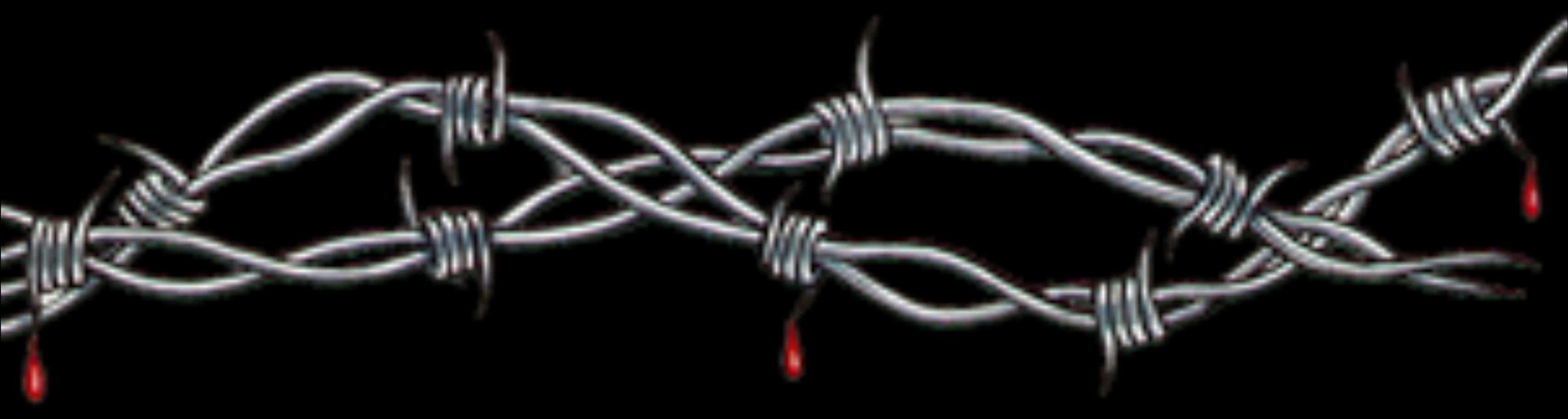 A Close-up Of Barbed Wire